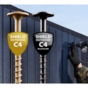 Woodies Shield Outdoor coating