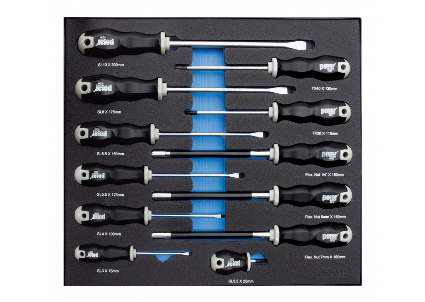 POLAR | MOD. 1829 Schroevendraaiers SLEUF TORX 6 KANT - 1829-0012