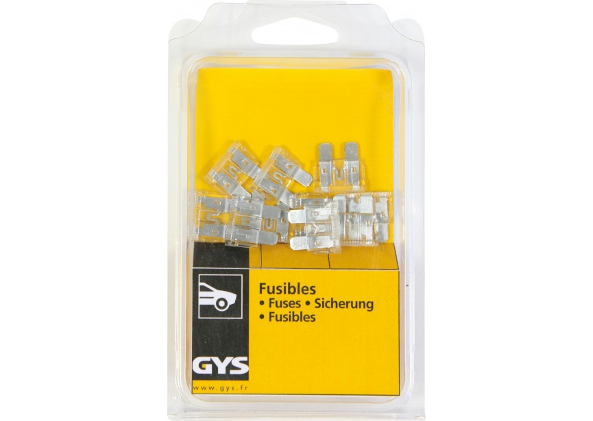 Zekeringen 10A (10 stuks)