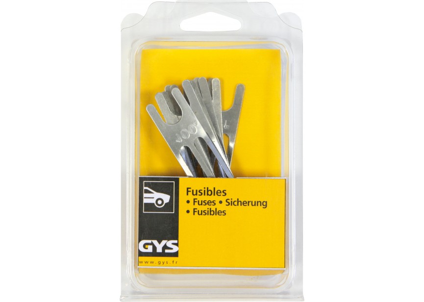 Zekeringen 100A | Set van 10 stuks | Voor GYSTART 12.24T - 595054486