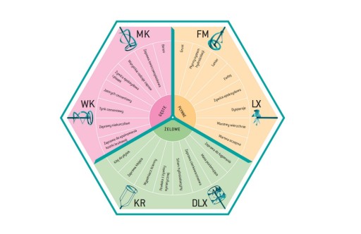 Collomix DLX 120 HF | Mengstaaf | Turkoois - Collomix