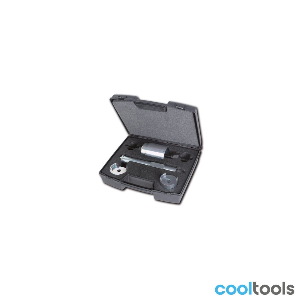 Beta 1569/F | Gereedschaps assortiment voor het verwij - 015690021