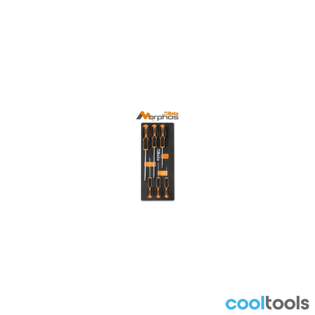 Beta M170MH EVA-foam inlegmodule met Morphos-schroevendraaiers