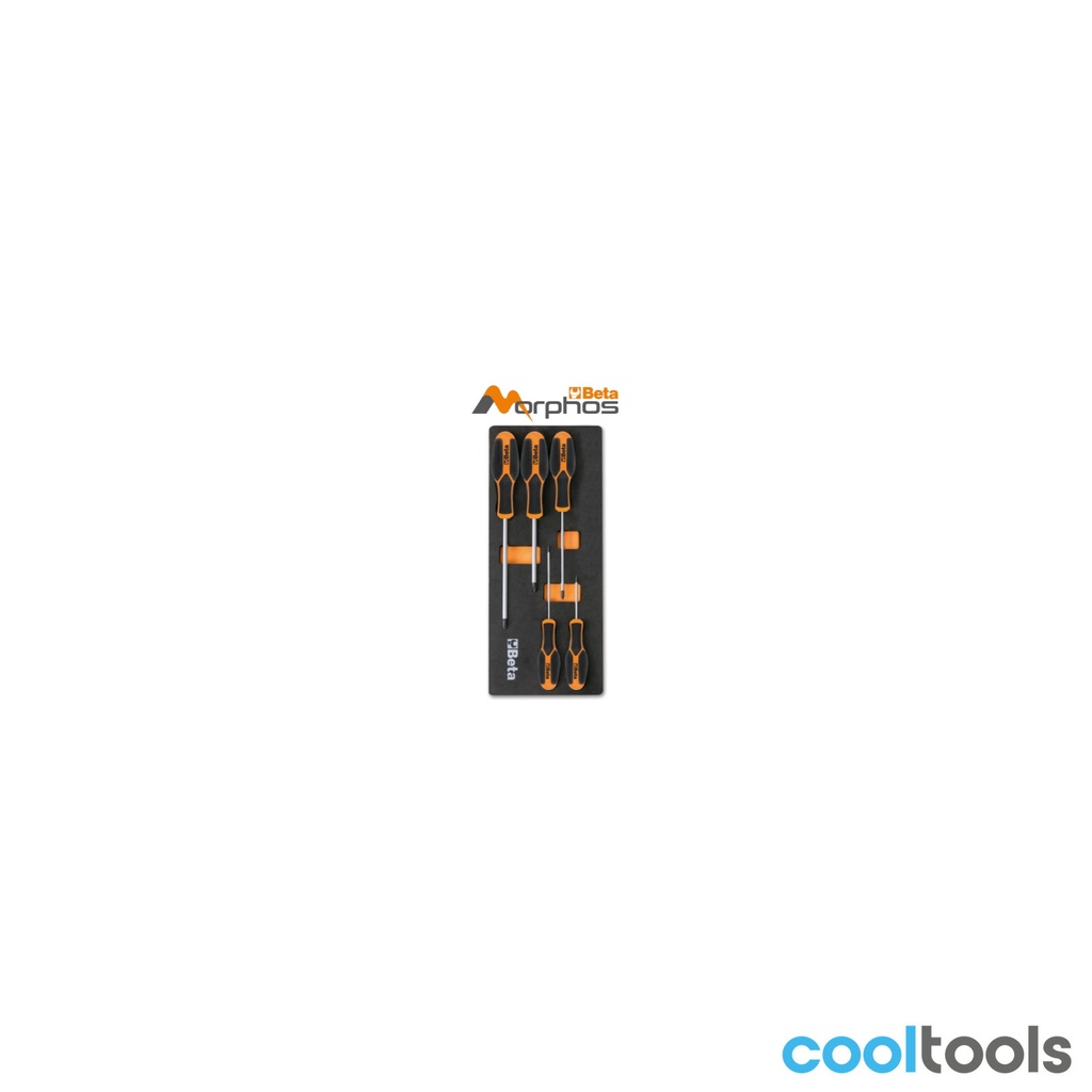 Beta M172MH EVA-foam inlegmodule met Morphos-schroevendraaiers