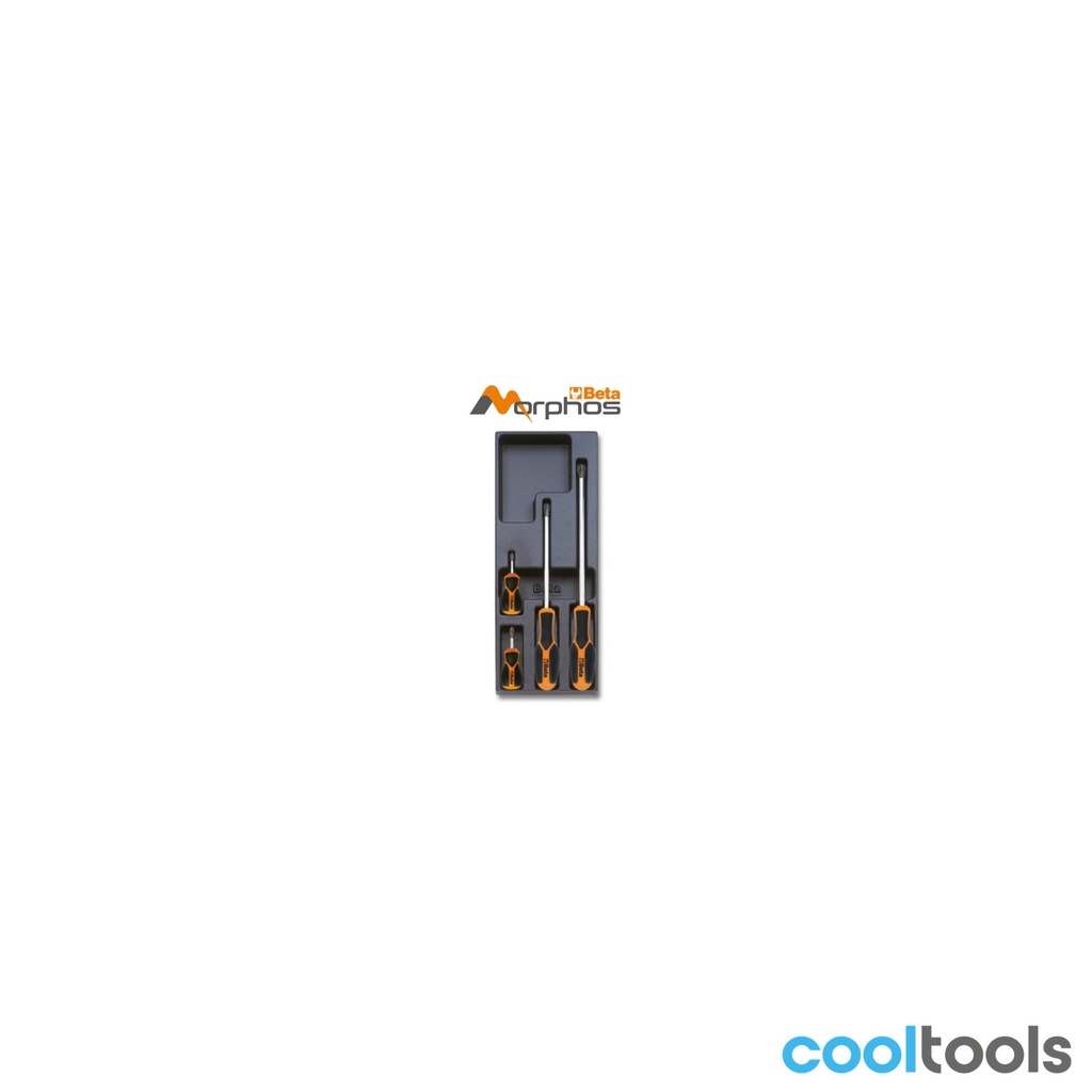 Beta T204MH ABS-inlegmodule met Morphos-schroevendraaiers voor