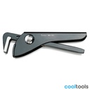 Beta 366 Pijpentangen